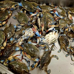 Lotte Plaza Market - Crabs