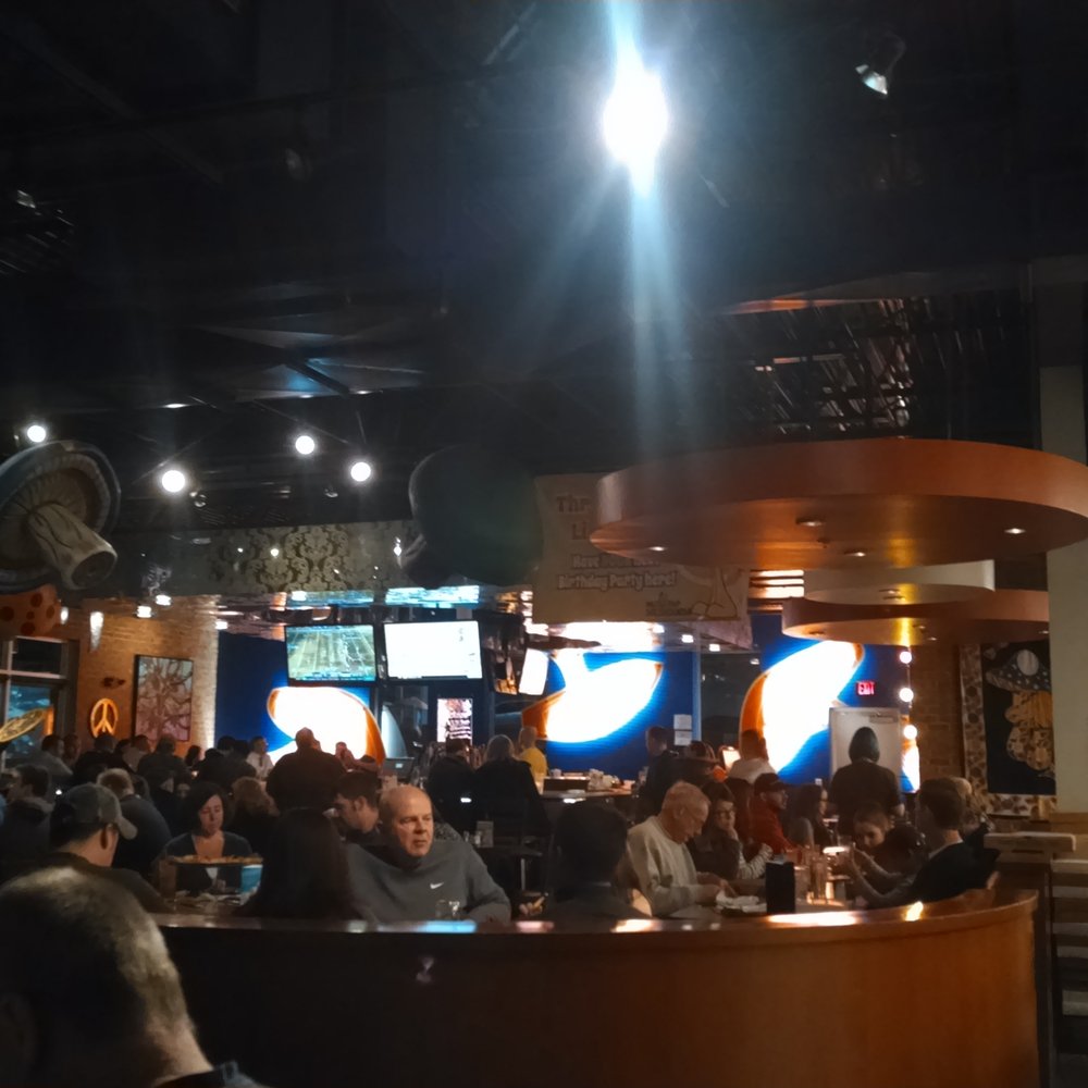 Mellow Mushroom Hickory - Pretty good crowd for a Friday night! - Pizza Near Me - Hickory, North Carolina Mellow Mushroom Hickory - Pretty good crowd for a Friday night! - Pizza Near Me - Hickory, North Carolina