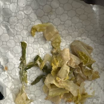Pollo Tropical - Chicken Caesar Wrap - Fast Food Near Me - Miami Lakes, Florida