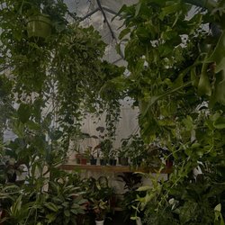 GonZo's family Greenery