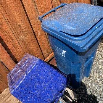 Pro Wash Expert - Overspray. - Pressure Washers Near Me