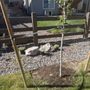 Photo of Pioneer Landscape Centers | SiteOne Stone Center