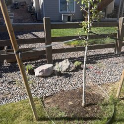 Pioneer Landscape Centers | SiteOne Stone Center