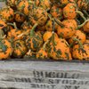 George’s Produce Market gift card