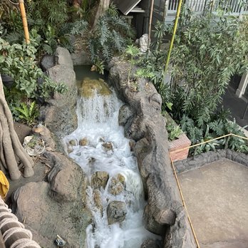 Adventureland Treehouse - Amusement Parks Near Me - Anaheim, California Adventureland Treehouse - Amusement Parks Near Me - Anaheim, California