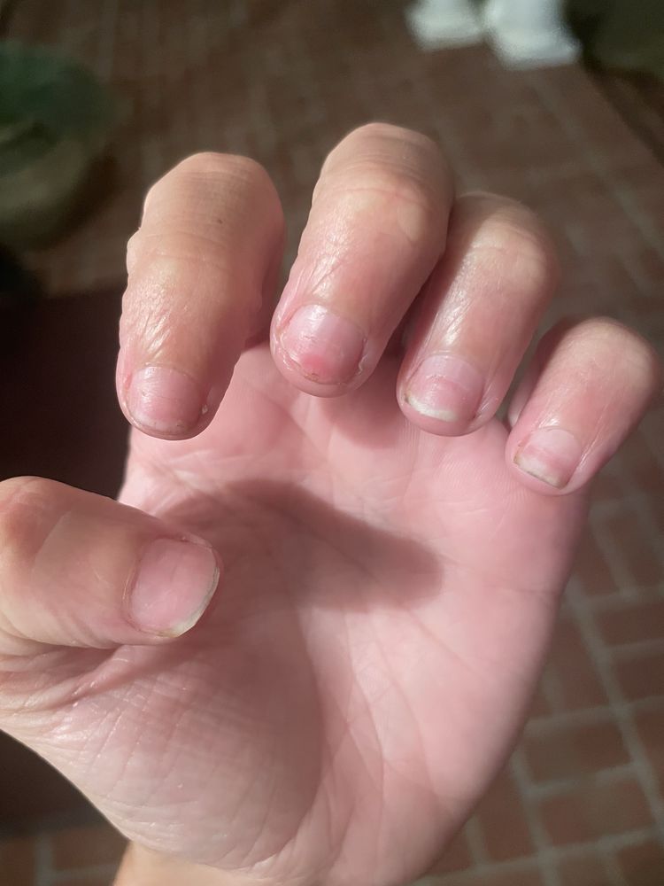 US NAILS Updated October 2024 11 Reviews 2902 Hardy St