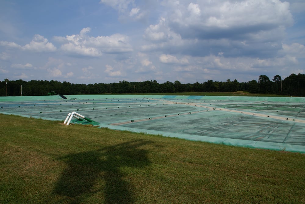 BUTLER FARMS Updated August 2024 4037 Darroch Rd, Lillington, North