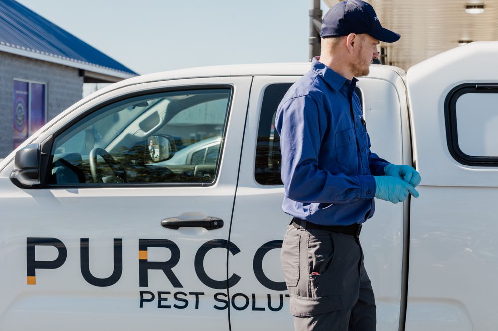 PURCOR PEST SOLUTIONS Updated September 2024 15 Photos 3200 N