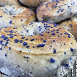 Columbus General Store - Blueberry bagels