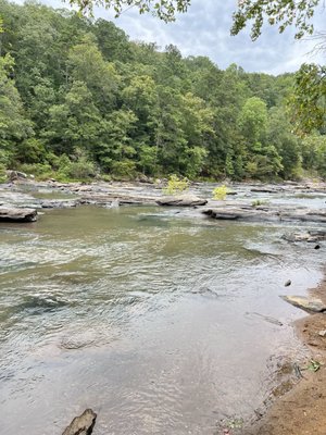 Sweetwater Creek State Park by null