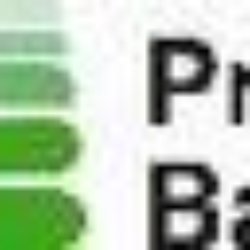 Premier Banks Rochester
