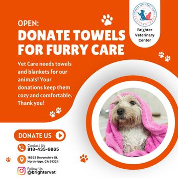 Brighter Veterinary Center - NOW ACCEPTING TOWEL DONATIONS -
Consider donating new or slightly used towels to support us and our furry friends! - Veterinarians Near Me - Northridge, California Brighter Veterinary Center - NOW ACCEPTING TOWEL DONATIONS -
Consider donating new or slightly used towels to support us and our furry friends! - Veterinarians Near Me - Northridge, California