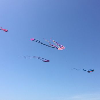 Berkeley Marina - Kites! - Marinas Near Me - Berkeley, California