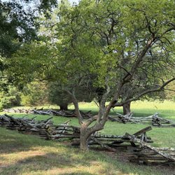 Surrender Field