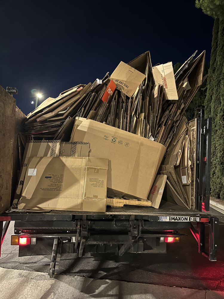 JUNK PUNCH JUNK REMOVAL INC