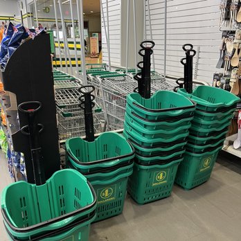 Dollarama - Dollarama - shopping carts and pull carts - Discount Store Near Me - Toronto, Ontario