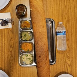 Shahi Indian Food - Masala Dosa (South Indian crepe with Potato and Masala)--Absolutely delicious!