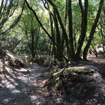 Hidden Villa - Gorgeous trails - Community Service/Non-Profit Near Me - Los Altos Hills, California
