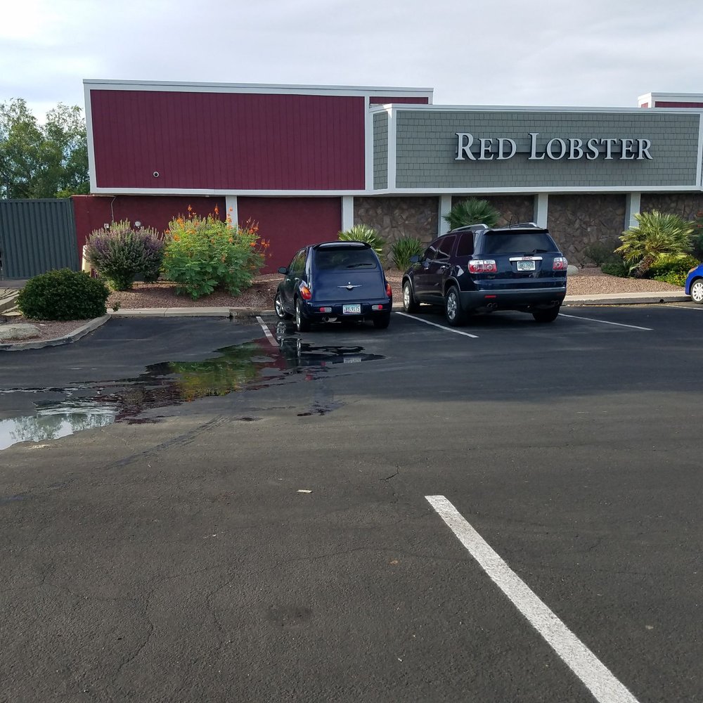 Red Lobster - Raw sewage leaking from the back of the building into the parking lot and the street. - Seafood Near Me - Tucson, Arizona Red Lobster - Raw sewage leaking from the back of the building into the parking lot and the street. - Seafood Near Me - Tucson, Arizona