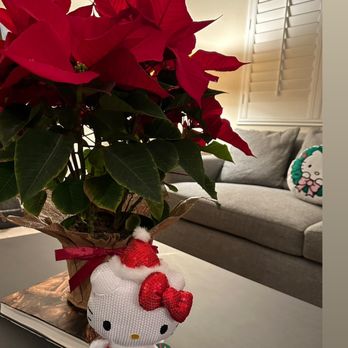 Target - LOVE the burlap wrapped poinsettias here ~ - Department Stores Near Me - Fullerton, California