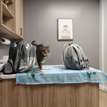 Warm & Fuzzy Veterinary Center - Veterinarians Near Me - Middle River, Maryland