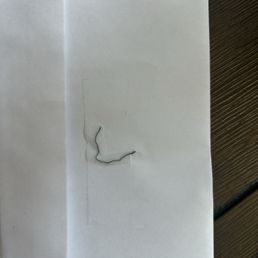Salmon kabob Piece of metal found in my food. Salmon kabob Piece of metal found in my food.