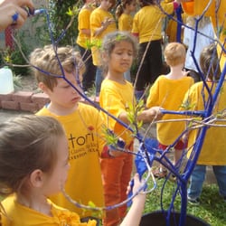 Satori School - Blue Trees Project