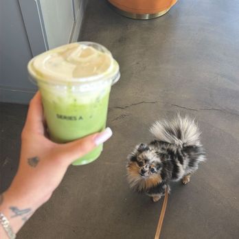 Series A Coffee - Coffee & Tea Near Me - Beverly Hills, California Series A Coffee - Coffee & Tea Near Me - Beverly Hills, California