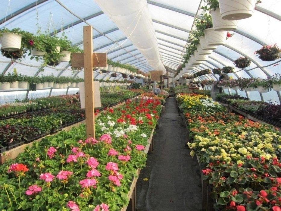 SERRES GARRETT GREENHOUSES 420 Route 132, New Richmond, Quebec