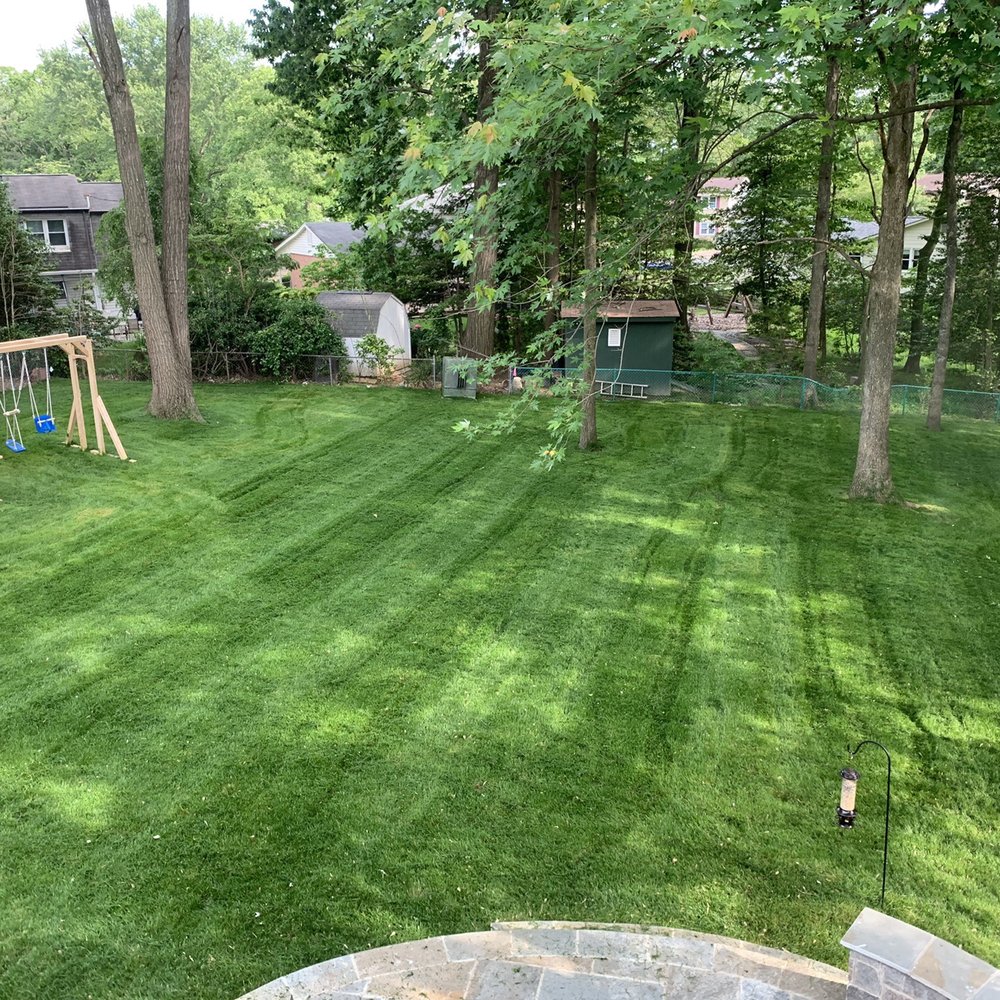 Cassella Design & Build - Landscaping Near Me - Springfield, Virginia Cassella Design & Build - Landscaping Near Me - Springfield, Virginia