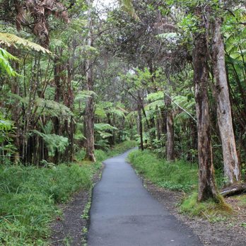 Thurston Lava Tube - Short quarter mile path to the Thurston Lava Tube. - Parks Near Me Thurston Lava Tube - Short quarter mile path to the Thurston Lava Tube. - Parks Near Me