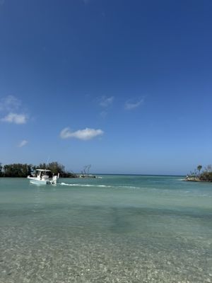 Happy Paddler Kayak Tours & Rentals - Lido Key Ted Sperling Park by null