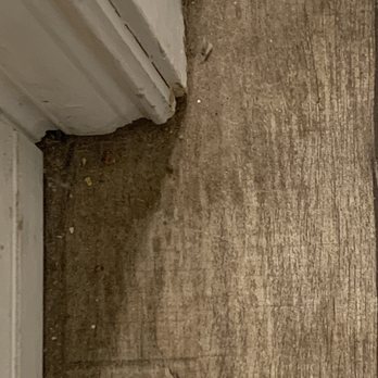 Two Maids - El Paso - Corner of floor after being cleaned "twice!" They didn't even sweep - Home Cleaning Near Me - El Paso, Texas