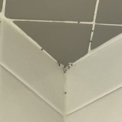 LA Fitness - Roach babies