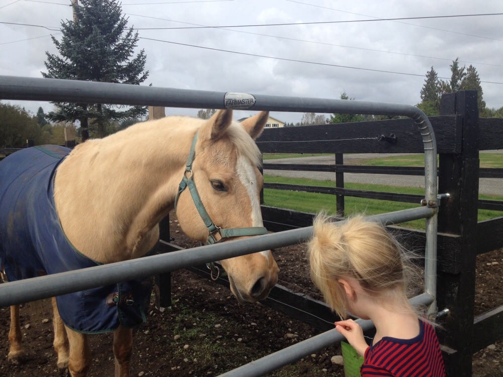 BLACK RAVEN STABLES - Updated July 2025 - 24717 43rd Ave NE, Arlington ...