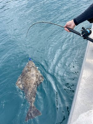 Haida Gwaii Fishing Charters by null