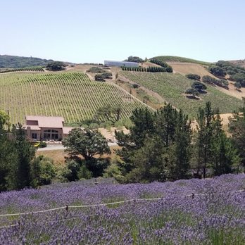 Monte-Bellaria Di California - Be sure to respect this place and follow the few rules and guidelines to protect the nature of this place. - Farms Near Me - Sebastopol, California Monte-Bellaria Di California - Be sure to respect this place and follow the few rules and guidelines to protect the nature of this place. - Farms Near Me - Sebastopol, California