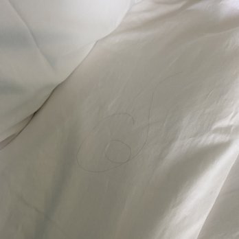 The Ruby Hotel & Bar - First Room, hair in the bed on the other side of the bed under the sheets. - Hotels Near Me - Round Rock, Texas