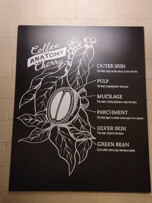 Menu photo 1 Starbucks Pasadena, CA Menu photo 1 Starbucks Pasadena, CA