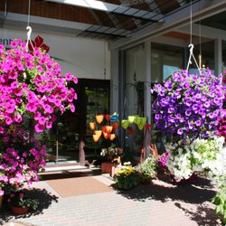Blumencenter Frielingen