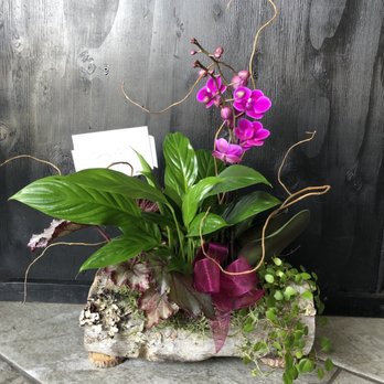 Wild Rose Floral - Thank you Wild Rose Floral and Aubree (sp?) for your help in creating beautiful plant arrangement for a dear friend who absolutely loved it! - Florists Near Me - Clovis, California