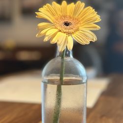 North Italia - I love their fresh flower decor