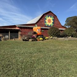 Patterson Farm Market & Tours
