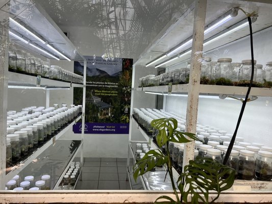 Vallarta Botanical Gardens AC by null