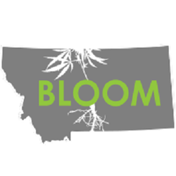 Bloom