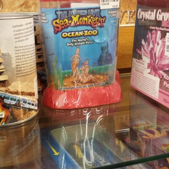 Games of Berkeley - Hobby Shops Near Me - Berkeley, California Games of Berkeley - Hobby Shops Near Me - Berkeley, California