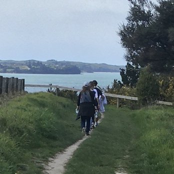 Long Bay Regional Park - Parks Near Me - Auckland, AUK Long Bay Regional Park - Parks Near Me - Auckland, AUK