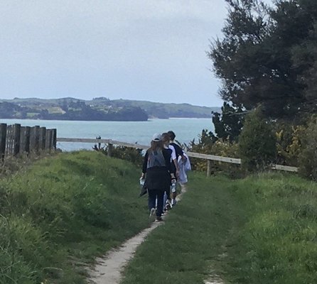 Long Bay Regional Park by null