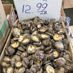 XI HOUSE MARKET