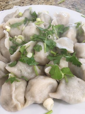 Dumpling City by null